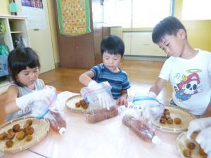 手袋をして梅を取り出している様子